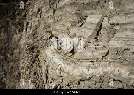 Cava di gesso, schwaebisch hall, hohenlohe REGIONE DEL BADEN-WUERTTEMBERG, Heilbronn-Franconia, Germania Foto Stock