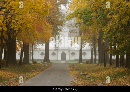 Orologio, stabile Zegarowa, membro allevamento Janow Podlaski, Polonia Foto Stock