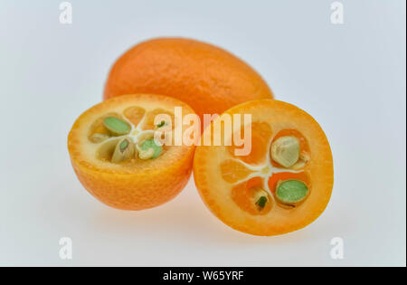 Kumquat, Fortunella margarita Foto Stock