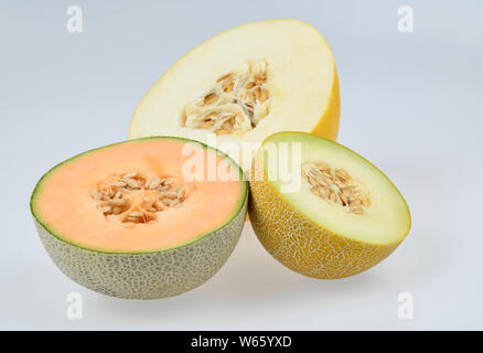 Zucchero, melone Cantalupo, galia melone, melone, Cucumis melo var. cantalupensis Foto Stock