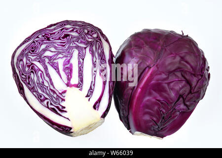 Cavolo rosso, Brassica oleracea convar. var. capitata rubra Foto Stock