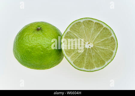 Key Lime, Citrus aurantifolia Foto Stock