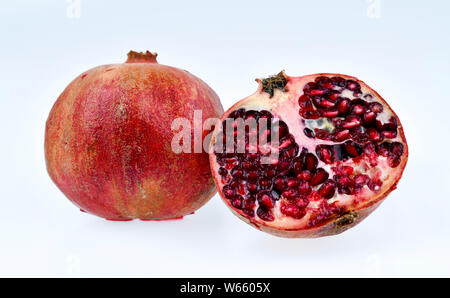 Melograno, Punica granatum Foto Stock