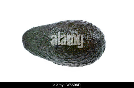 Hass Avocado, Persea americana Foto Stock