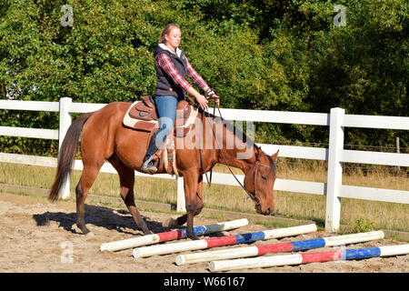 Addestramento cavalli, cavallo western terreno di lavoro, giovani cavallo, rotaie, rampa Foto Stock