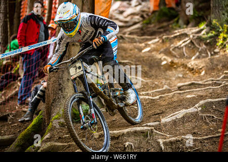 Settembre 22, 2013 - Leogang, Austria. Loic Bruni racing a UCI Mountain Bike Downhill World Cup Foto Stock