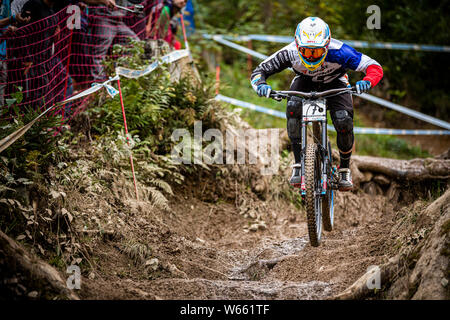 Settembre 22, 2013 - Leogang, Austria. Loic Bruni racing a UCI Mountain Bike Downhill World Cup Foto Stock