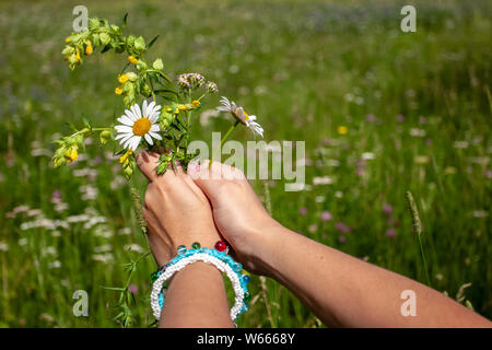 Bouquet di fiori selvatici in mani femminili sullo sfondo di una sfocata campo verde. A portata di mano la tintura di bracciali. Vi è un posto per il testo. Backgro erba Foto Stock
