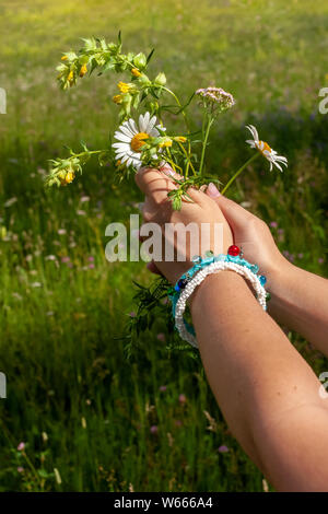 Due le mani delle donne con splendidi braccialetti fatti in casa tenere margherite sullo sfondo del campo in una giornata di sole. Ci sono fiori sfocato sul campo. Foto Stock