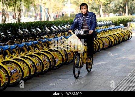 --FILE--un ciclista passa di serventi a tema per le biciclette cinesi di bike sharing service ofo allineate su una strada in Luoyang city, centrale della Cina di Henan p Foto Stock