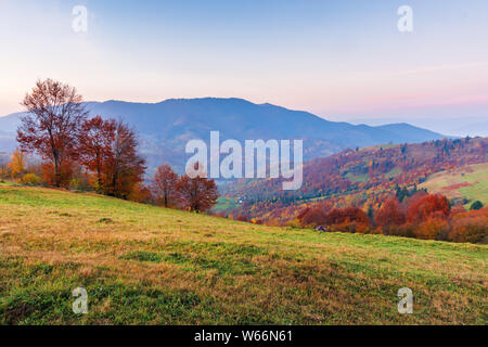 Paesaggio di montagne di sunrise. erbosi pendii rurale con i campi e gli alberi in caduta delle foglie in autunno. magnifica montagna nella distanza nebuloso. h Foto Stock