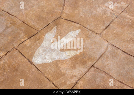 Sirindhorn Museum, Karasin Provincia Thailandia - Luglio 20, 2019: dinosauro su Sfondo marmo Foto Stock