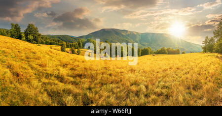 Nella tarda estate del paesaggio al tramonto in montagna. faggi sul prato erboso. panorama con ridge in distanza sotto un cielo di nuvole in evenin Foto Stock