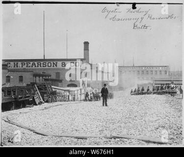 Uomo con un derby hat sorge sulla cima di una collinetta di gusci di ostrica al di fuori della C.H. Pearson & Company oyster cannery, ca. 1890; Portata e contenuto: i lavoratori portare la ruota-carriole di gusci dalla fabbrica al mucchio. Foto Stock