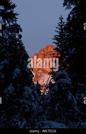 Foto verticale di alti alberi innevati e delle Montagne Rocciose in lontananza con cielo limpido Foto Stock