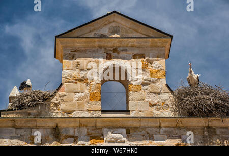 Nidi di cicogna al campanile a vela, Iglesia de Santa Maria La Nueva, la chiesa in stile romanico, di Zamora, Castilla y Leon, Spagna Foto Stock