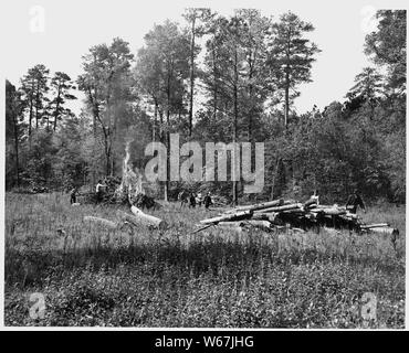 Newberry County, Carolina del Sud. CCC enrollees spazzola di masterizzazione su terra che è stata cancellata per il botto . . .; Portata e contenuto: Full didascalia recita come segue: Newberry County, Carolina del Sud. CCC enrollees spazzola di masterizzazione su terra che è stata cancellata per il fondo di terra sul pascolo C. C. cucchiaio farm. Foto Stock