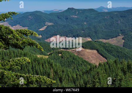 O: Douglas County, Cascades pendio ovest, nord Umpqua Valley. Vista sulle montagne di distanza a est di Cottage Grove, mostrando clearcuts Foto Stock