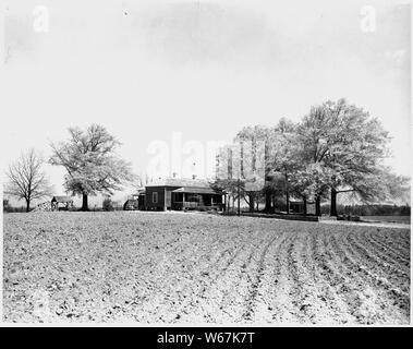 Newberry County, Carolina del Sud. Riabilitato home sulla fattoria permanente sul quartiere Enoree, Sumter nat . . .; Portata e contenuto: Full didascalia recita come segue: Newberry County, Carolina del Sud. Riabilitato home sulla fattoria permanente sul quartiere Enoree, Sumter National Forest pianificate come parte di una comunità di foresta sussistevano su un combinato di foresta e economia agricola. (Sotto uso speciale permette di S. A. Rikard, Newberry County). Foto Stock