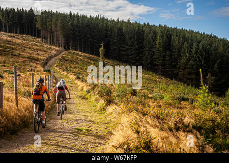 BALLINASTOE, Irlanda. Due mountain biker in sella ad una facile sentiero verso la foresta nel costruito a tale scopo MTB trail center. Foto Stock