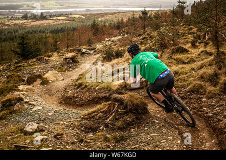 BALLINASTOE, Irlanda. Un mountain biker equitazione intorno a 'S-bend' trail in oggetto costruito MTB trail center. Foto Stock