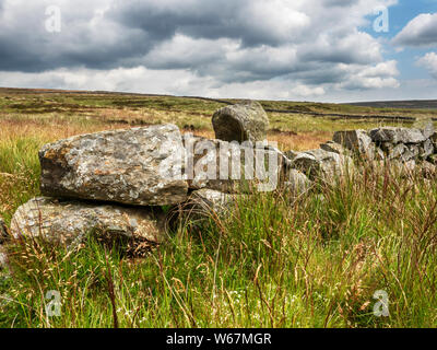 Asciugare la parete in pietra sulla brughiera vicino Ramsgill in Nidderdale superiore North Yorkshire, Inghilterra Foto Stock