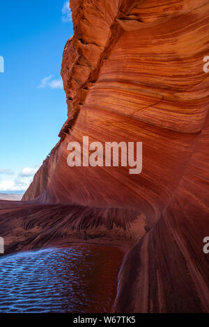 L'onda in remoto la Coyote Buttes North Foto Stock