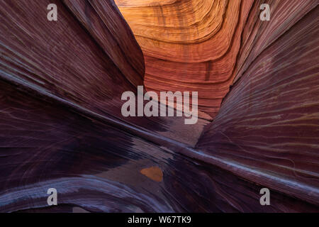 L'onda in remoto la Coyote Buttes North Foto Stock