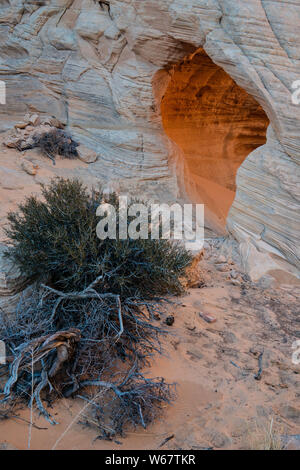 Melody Arch nel telecomando Coyote Buttes deserto Foto Stock