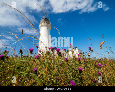 Flamborough Head Lighthouse, un faro attivo si trova a Flamborough, East Riding of Yorkshire. In Inghilterra. Foto Stock
