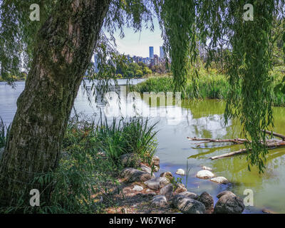 Parco Stainley, Vancouver, British Columbia, Canada Foto Stock