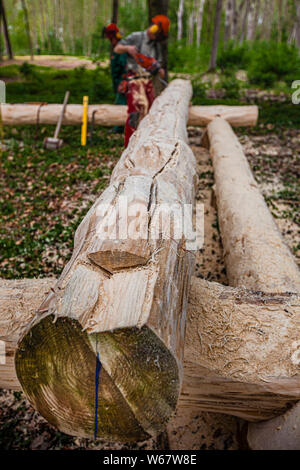 Costruzione di una casa di tronchi con motosega e attrezzi da falegname tradizionali a Grevenbroich, Germania Foto Stock