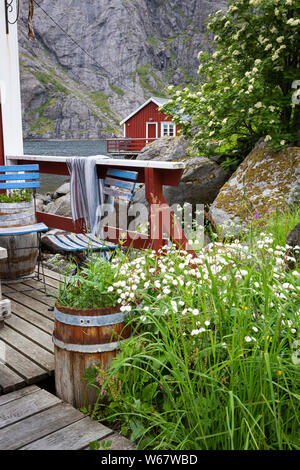 In legno case di pescatori nella baia di Nusfjord, Isole Lofoten in Norvegia Foto Stock
