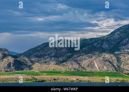 La viticoltura a Osoyoos, Okanagan Valley, Britsh Columbia, Canada Foto Stock