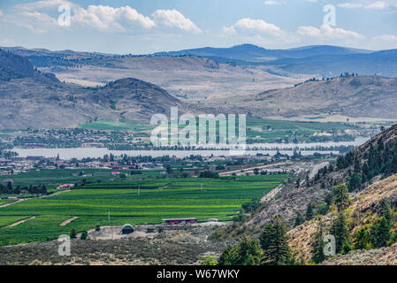 La viticoltura a Osoyoos, Okanagan Valley, Britsh Columbia, Canada Foto Stock