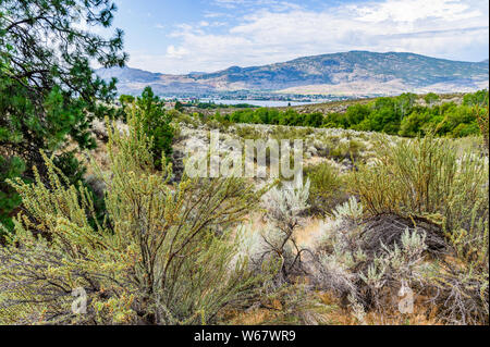 Deserto vicino a Osoyoos, Okanagan Valley, British Columbia, Canada Foto Stock