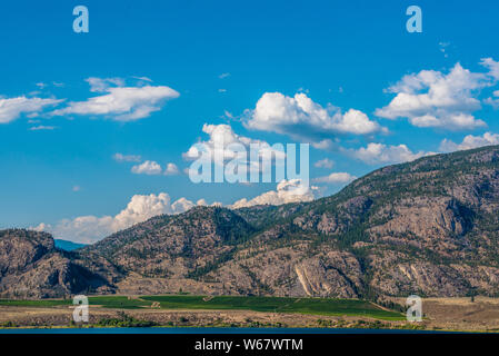 La viticoltura a Osoyoos, Okanagan Valley, Britsh Columbia, Canada Foto Stock