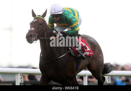 Ilikedwayurthinkin cavalcato da Darragh O'Keeffe sul modo di vincere il Tote orgogliosa di fungere da sponsor per le gare di Galway Handicap Hurdle durante il giorno tre del 2019 Summer Festival a Galway Racecourse. Foto Stock