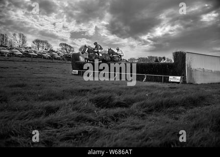 Cavalli da salto oltre le recinzioni in corrispondenza dei quattro burrow caccia da punto a punto cavallo di razza 2019 Foto Stock