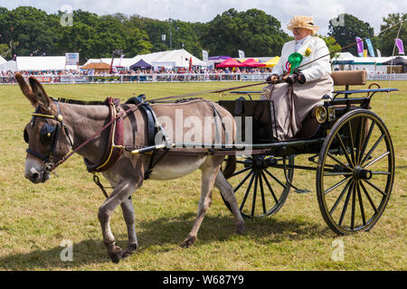 Brockenhurst, Hampshire, Regno Unito. Il 31 luglio 2019. Migliaia accorrono per la seconda giornata della nuova foresta & Hampshire County Visualizza per godere gli animali e le attività. Azionato il Concours d'eleganza. Credito: Carolyn Jenkins/Alamy Live News Foto Stock