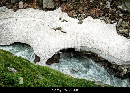 Fiumi sotto i ghiacciai a rimuginare foresta in Himachal Foto Stock