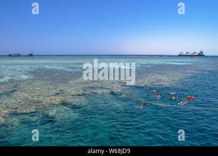 Snorkelling su Jackson Reef nello stretto di Tiran vicino a Sharm el Sheikh, Egitto Foto Stock