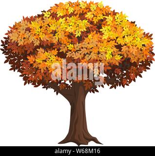 Isolato realistico autumn tree. Vecchio albero con una folta presenza di fogliame. Illustrazione Vettoriale