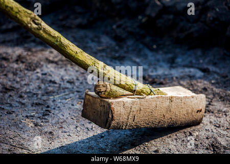 Charburners al lavoro a Grevenbroich, Germania Foto Stock