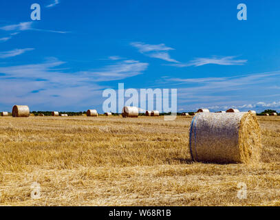 Round le balle di paglia in campi harverted nel Vale of Glamorgan Galles del sud alla fine di luglio Foto Stock