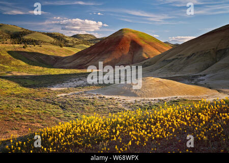 Il crepuscolo civile glow sulla primavera sbocciano i fiori di campo alla base delle colline dipinte in unità Oregon centrale John Day Fossil Beds. Foto Stock