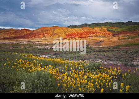 Il crepuscolo civile glow sulla primavera sbocciano i fiori di campo alla base delle colline dipinte in unità Oregon centrale John Day Fossil Beds. Foto Stock