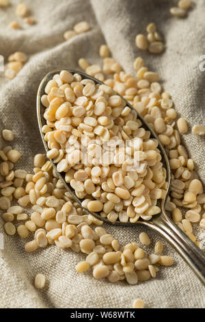 Organico secco Murad dal Split Matpe bean Foto Stock