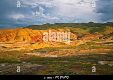 Il crepuscolo civile glow sulla primavera sbocciano i fiori di campo alla base delle colline dipinte in unità Oregon centrale John Day Fossil Beds. Foto Stock