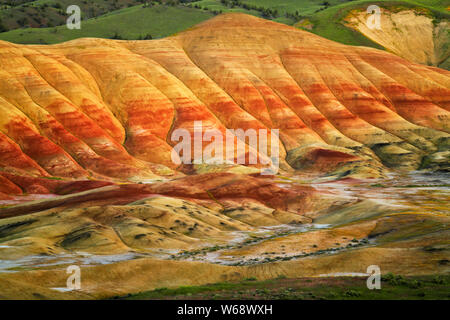 Il crepuscolo civile glow sulla primavera sbocciano i fiori di campo alla base delle colline dipinte in unità Oregon centrale John Day Fossil Beds. Foto Stock